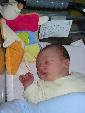 Photo albulle/photos/Famille/20040810._Naissance_Floriant/132-3206_IMG.jpg