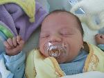 Photo albulle/photos/Famille/20070407._Naissance_Bastian/DSCF2249.jpg